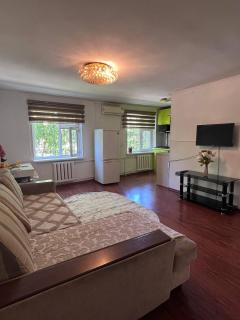 Уютные апартаменты - Shymkent - 8