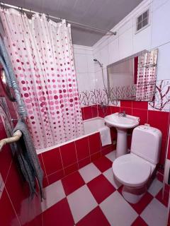 Уютные апартаменты - Shymkent - 6