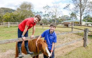 The Big Bell Farm - 3