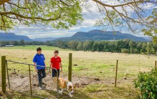 The Big Bell Farm - 2