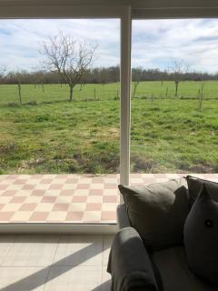 La Bergerie - Bourg-sur-Gironde - 1