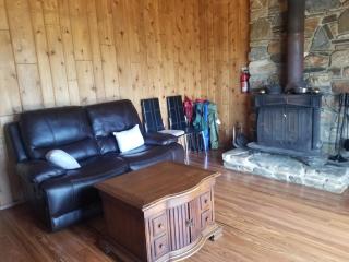 3BR Panoramic Lake View, Sequoia Forest, Kern County - Wofford Heights - 4
