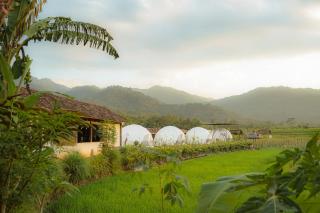 Borobudur Luxury Glamping - 4
