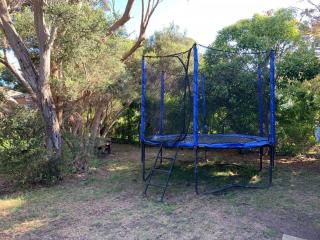 Family Fun and Love - Rye - 2