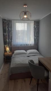 Apartament Kotlina - Kłodzko - 1