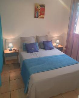 Les Sternes 2 - Apt T2 pieds dans l'eau et jardin - Trois Bassins - 3