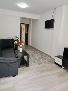 Apartament Sonya - Bucharest - 2