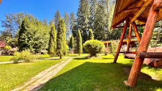 Top Mountain - Poiana Brasov - 3