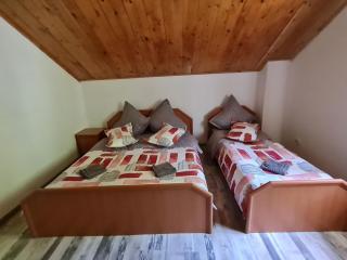 Pensiunea Puiu - Moroeni - 8