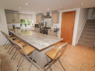 One Tree House - Dinas - 4
