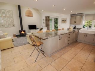 One Tree House - Dinas - 3