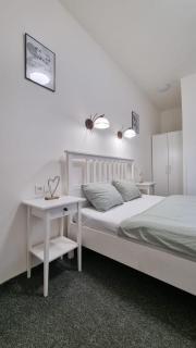 Finnem Rentals Jičínská - 5