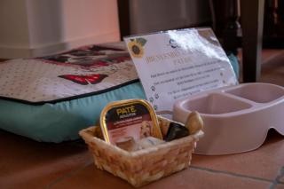 Hotel Boutique Cerro del Sol Adults only recommended - Cenes de la Vega - 4