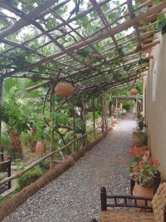 Les Jardins de Skoura - Skoura - 2