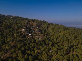 Seed At Queens Meadows, Ranikhet - 1