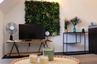 Jungle Suite - Moderne & Spacieux - Annecy - 3