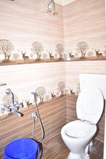 Private Villa with WiFi, Swimming Pool, BBQ - Chennai - 4