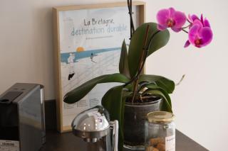 Studio À La Campagne Avec Piscine - Clohars-Fouesnant - 3