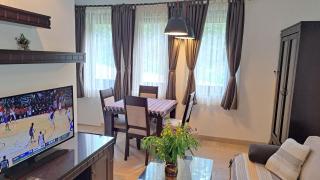 Kamena Kuca Lux Apartment - Kopaonik - 3