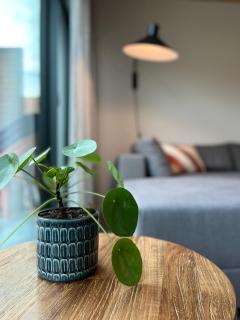 De ole School Ferienapartments Hohwacht Large-Apartment 16 , Huus Meven - Hohwacht - 2