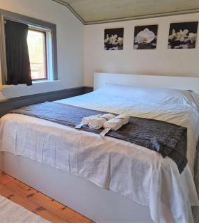Charmig stuga mitt i naturen! - Upplands Väsby - 7