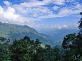 Kolakham Rai Paul Residency Homestay - 4