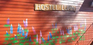 HOSTEL and VANDRARHEM LUPIN Naturcamping Lagom - Gräsmark - 0