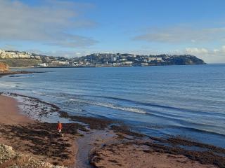 The Seaview Suites at The Corbyn Apartments - Torquay - 4