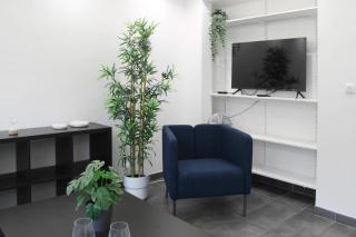 Magnifique Appartement proche Paris - Saint-Maurice - 8