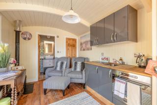 Relaxing Retreat - The Shepherds Hut - Hot Tub - 8