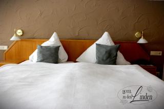 Hotel zu den Linden - Wachtberg - 2