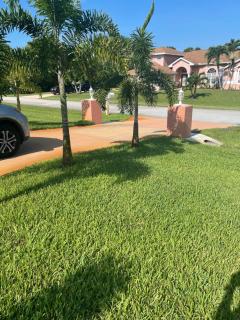 Carols Palm - Port Saint Lucie - 1