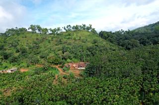 Badamane Jungle Stay - Jeep Ride & Mountain View - Chikmagalūr - 5