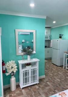 Beautiful and comfortable rom apt # 2 - Tampa - 4
