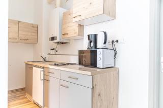 Stunning 2BR Apt Comfortable Design/Great Location - Vienna - 5