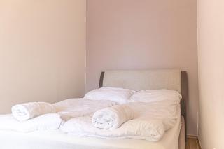 Stunning 2BR Apt Comfortable Design/Great Location - Vienna - 2