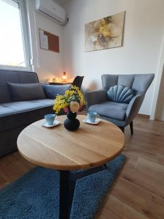 Apartment No 11 - Subotica - 0