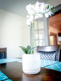 Centrally Located 5BR house in Niagara Falls - 1