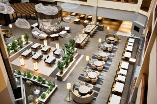 Embassy Suites Dallas - DFW Airport North - Grapevine - 3