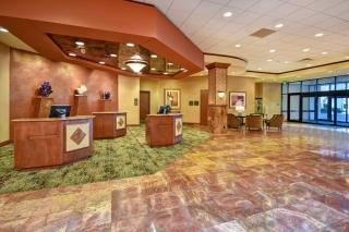 Embassy Suites by Hilton at Hot Springs Convention Center - Hot Springs - 8