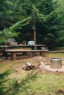 Cosy Forest Lodge - Penrhôs - 9