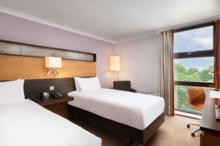 Hilton London Kensington Hotel - Londra - 6