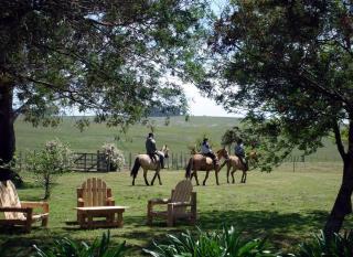Estancia Aguila Blanca - Polanco - 0