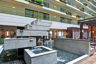 Embassy Suites by Hilton Minneapolis Airport - Bloomington - 4