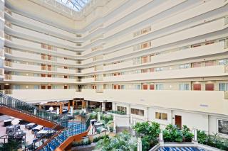 Embassy Suites by Hilton Tampa USF Near Busch Gardens - Tampa - 8
