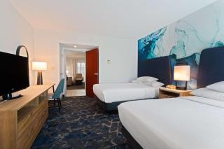 Embassy Suites by Hilton Tampa USF Near Busch Gardens - Tampa - 6