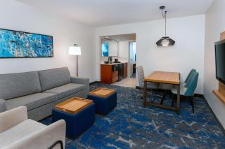 Embassy Suites by Hilton Tampa USF Near Busch Gardens - Tampa - 5