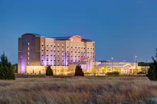 Hilton Garden Inn Dallas/Arlington South - Arlington - 8