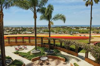 The Cassara Carlsbad, Tapestry Collection By Hilton - Carlsbad - 9