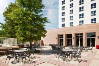 Hilton Charlotte Airport Hotel - Charlotte - 7